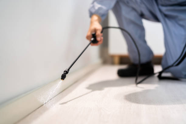 Licensed Cockroach Control service in Troy, MI - Nex Pest Control