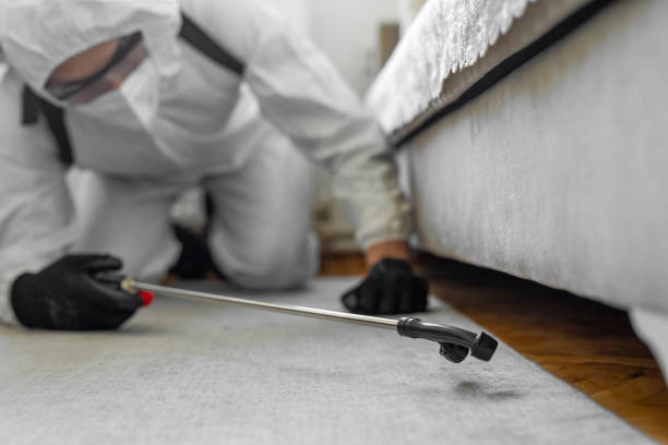 Professional Cockroach Control technician working in Troy, MI