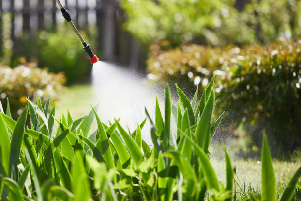 24/7 Emergency Cockroach Control experts in Troy, MI